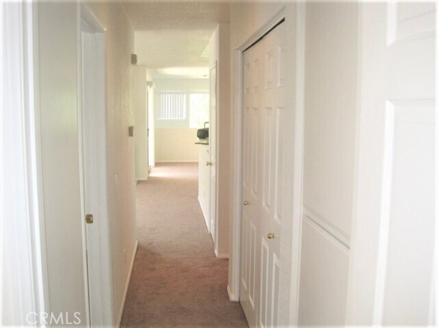 Building Photo - 6686 Laurelton Ln