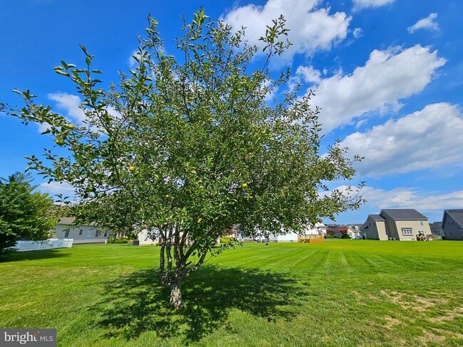 Building Photo - 28050 Cross Creek Dr
