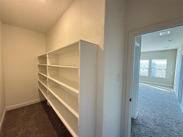 Building Photo - 4136 Crowe Ln