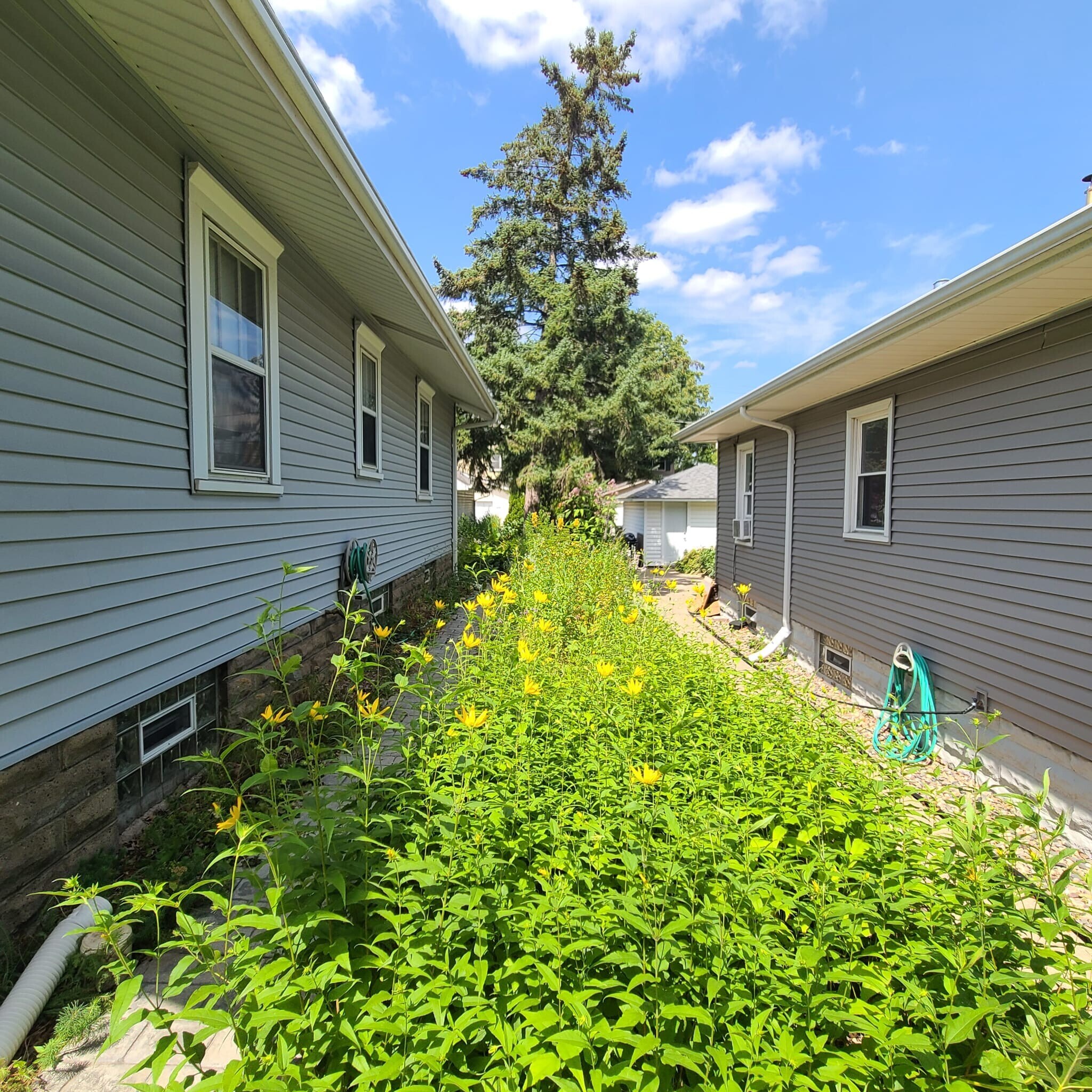 Building Photo - 1479 Albany Ave