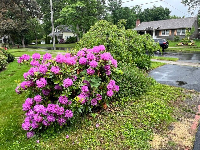 Building Photo - Single Family Home for Rent in Longmeadow!