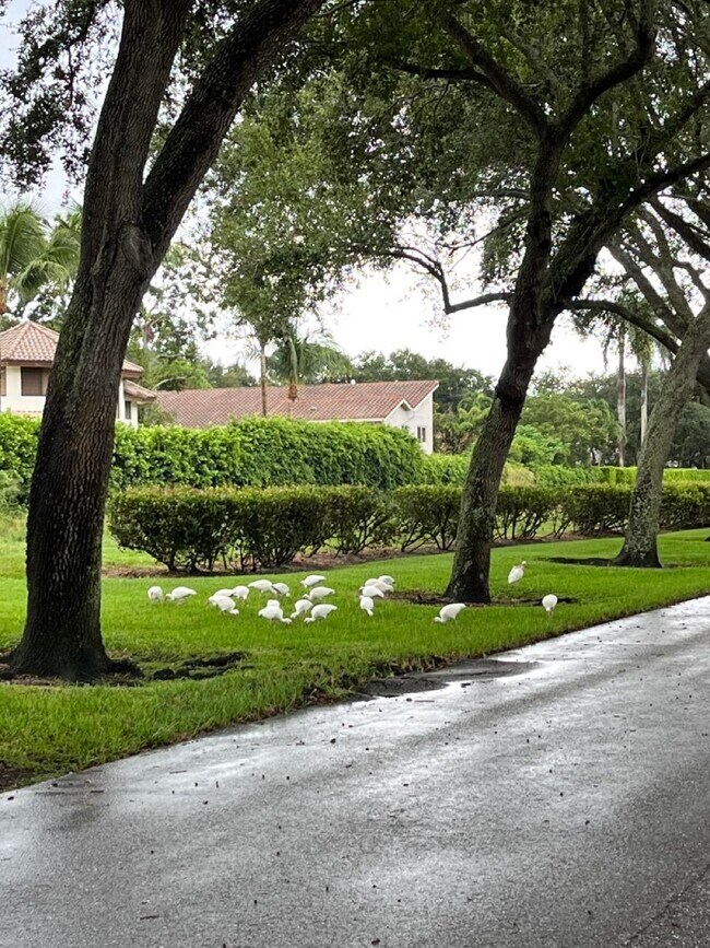 Building Photo - 4020 NW 24th Terrace