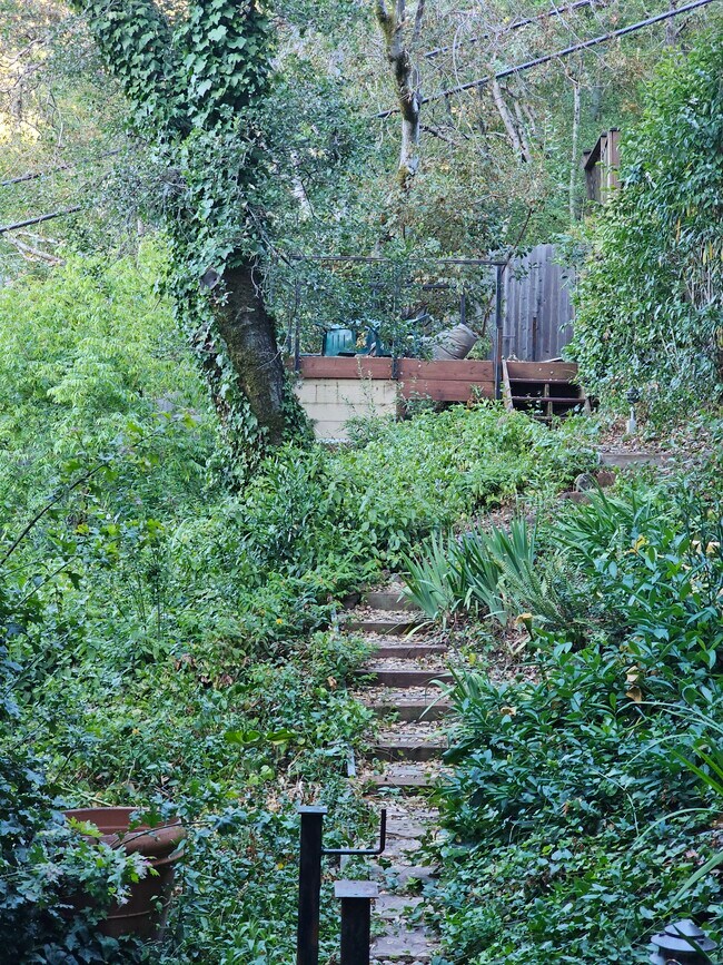 Building Photo - 206 Ross Valley Dr