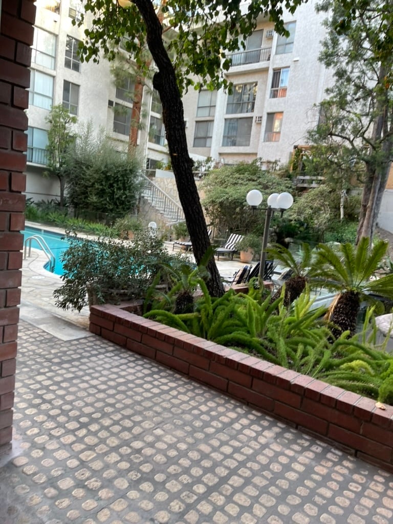 Pool - 1440 Veteran Ave
