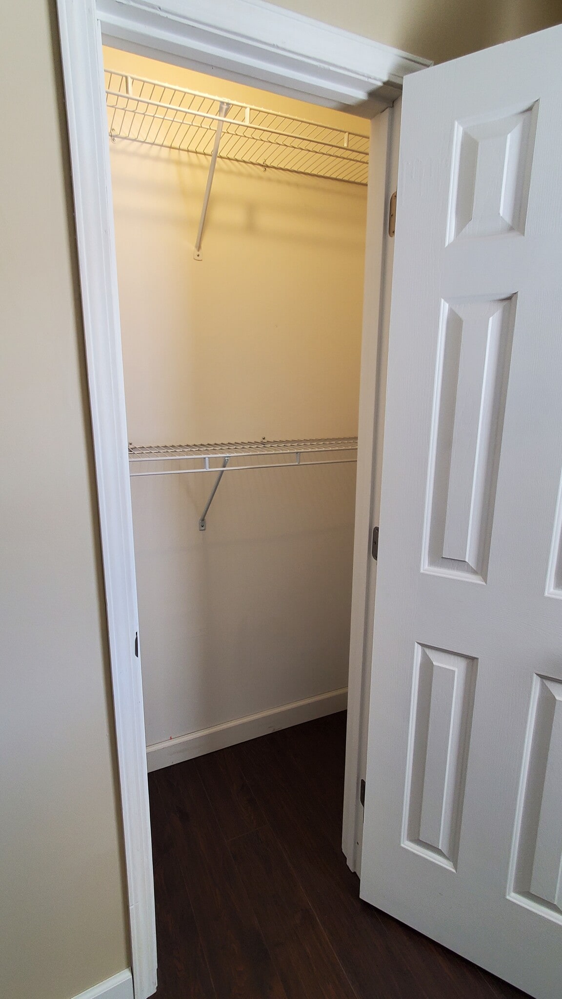 Bedroom 1 Closet - 149 Davis Ln