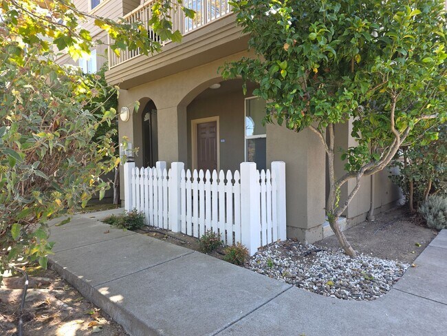 Building Photo - 245 Pacifica Blvd