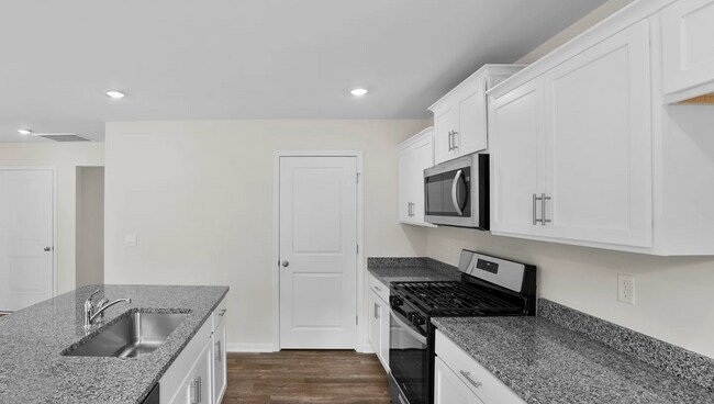 Building Photo - Brand New Spacious Home Move In Ready Now!