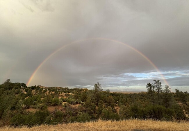 Building Photo - Peaceful Hilltop Retreat with Views | Unfurnished 5BD Executive Home on Private Knoll