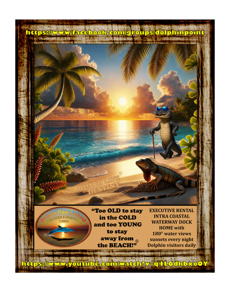 Check out Dolphin Point Lookourt - 14626 Loridawn Dr