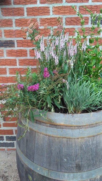 The Wine Barrel Garden Outside - 109 S 22nd St