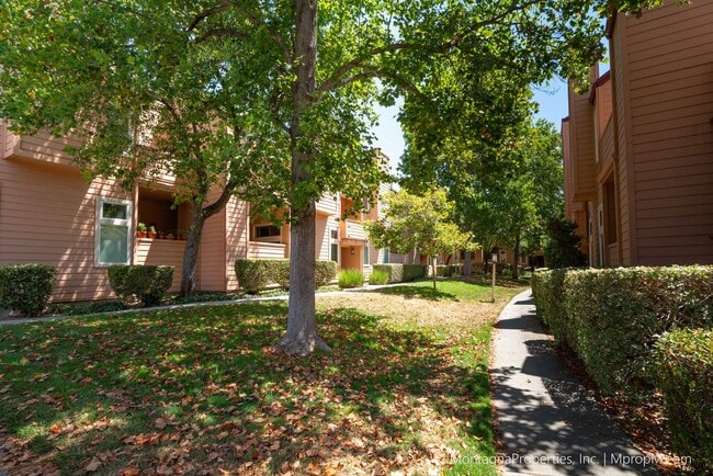 Building Photo - Spacious Townhome - GARAGE - Light and Bri...