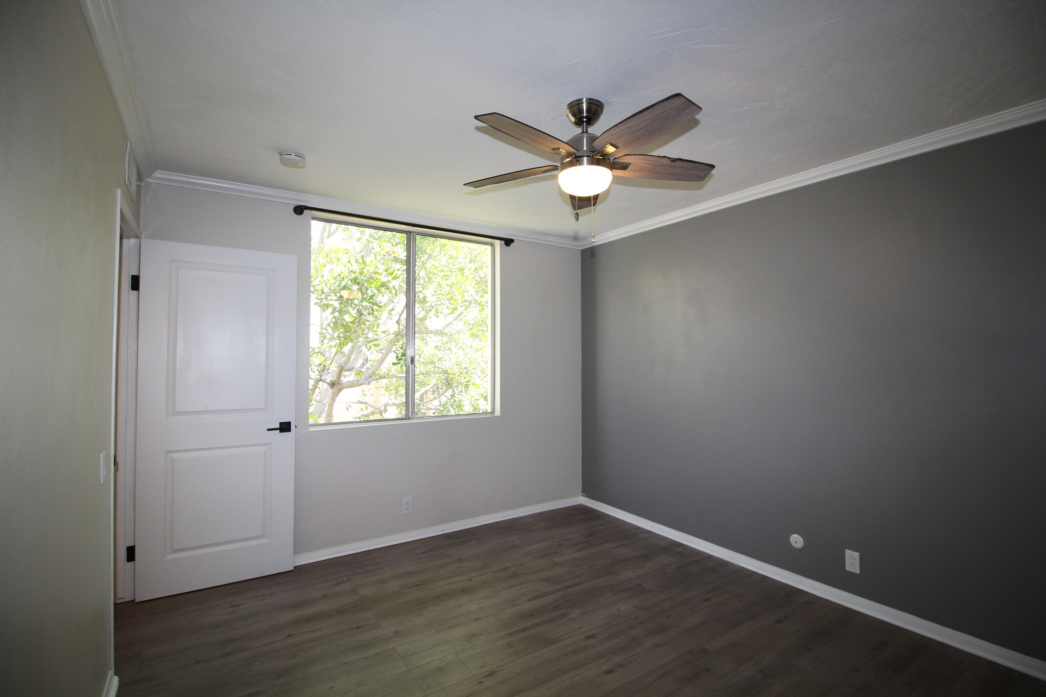 Building Photo - 4879 Collwood Blvd
