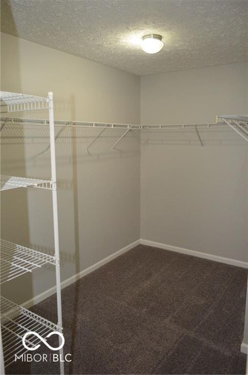 Building Photo - 16969 Brigg Ct