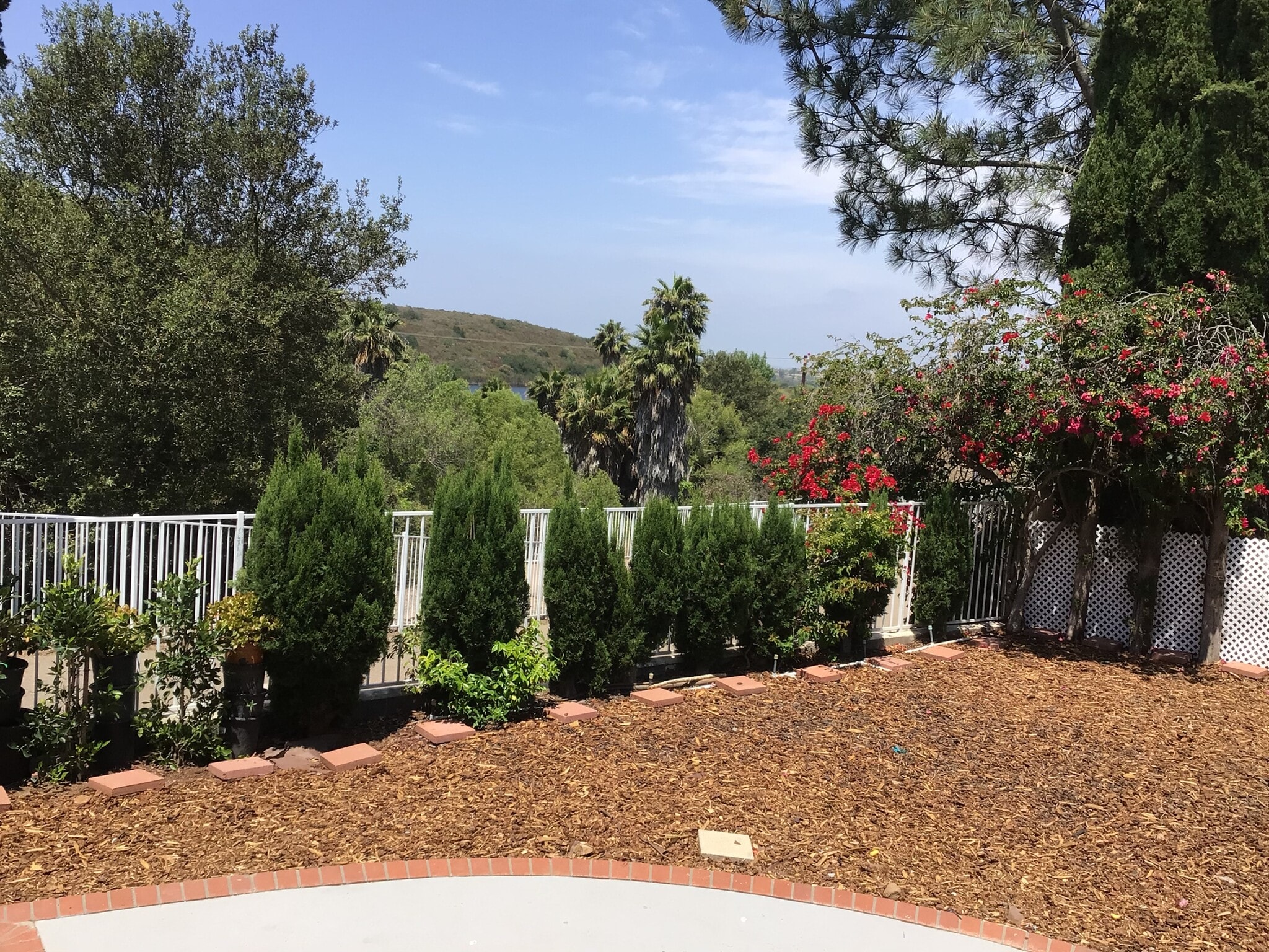 Building Photo - 10864 Avenida de los Lobos