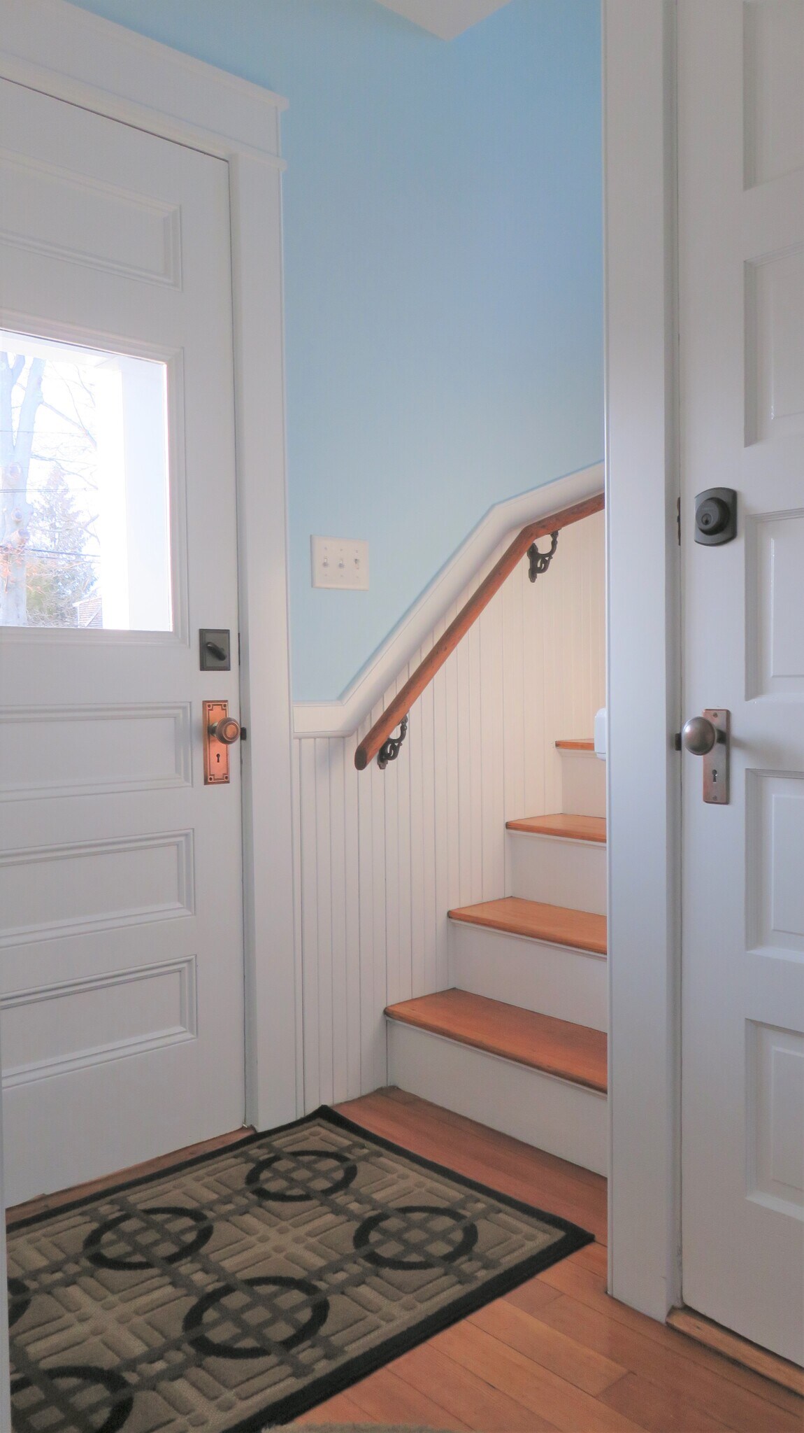 Outdoor back door entry and hall as seen from apartment back door - 21 Courtland St