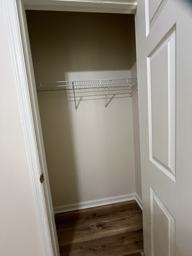 Guest Bedroom Closet - 532 Lionshead Rd