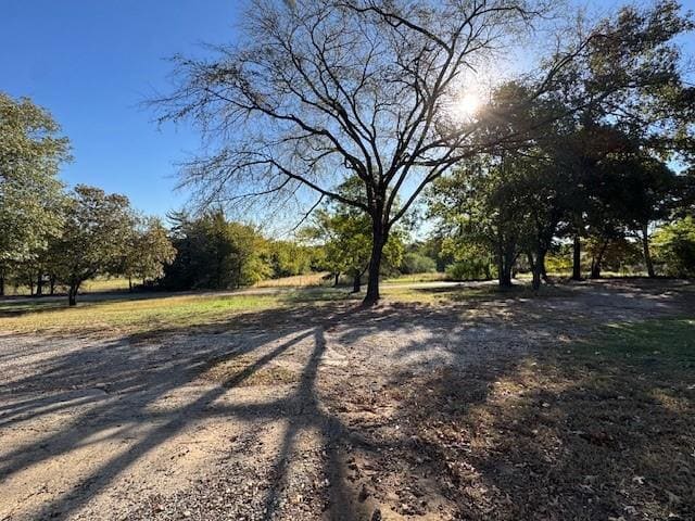 Building Photo - 531 Coe Rd