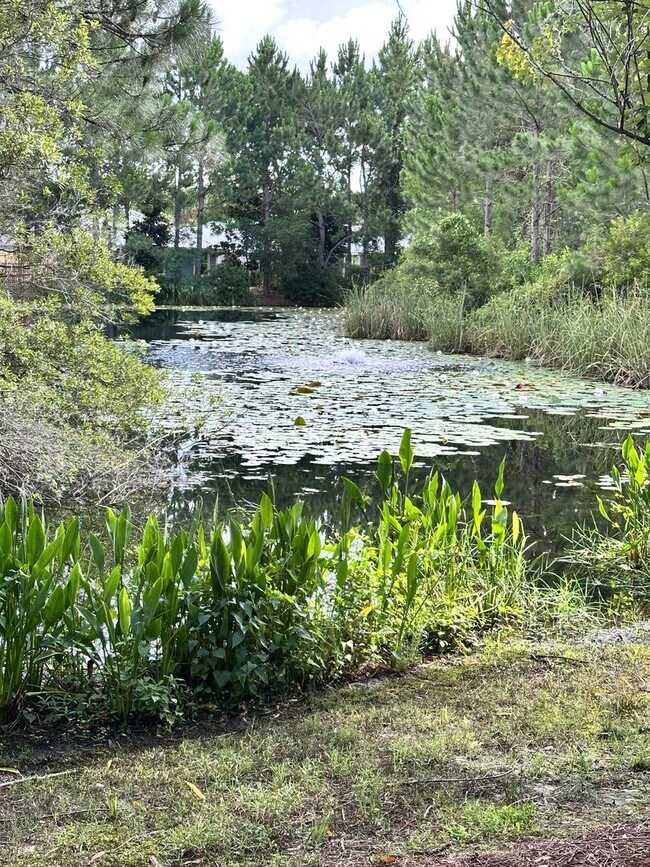 Building Photo - Spacious 3Bed/2.5Bath Townhouse in Quiet Neighborhood in Santa Rosa Beach
