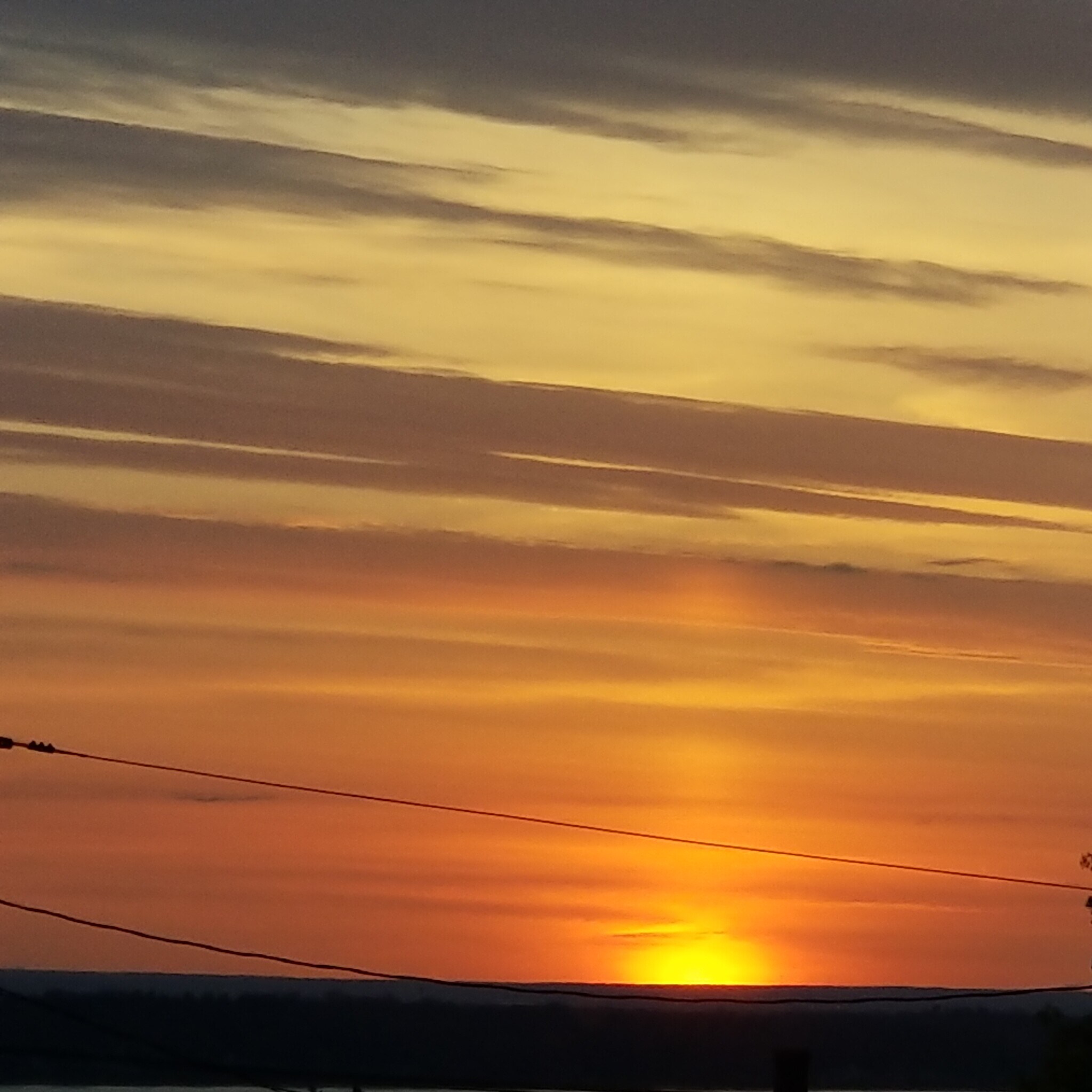 Building Photo - 67 Lawton Ave