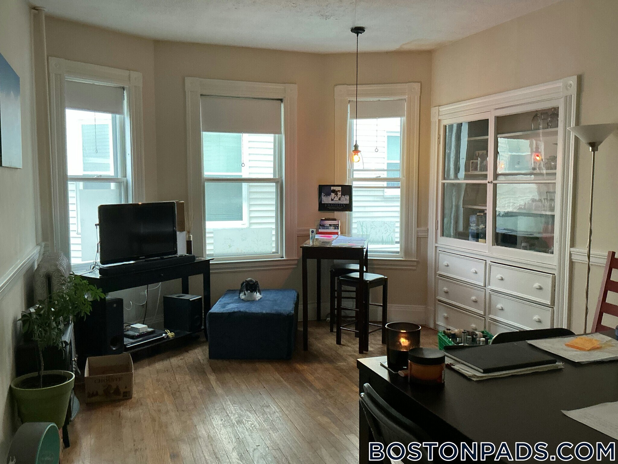 Building Photo - 78 Aldie St