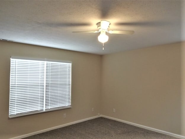 Building Photo - 293 Story Rd