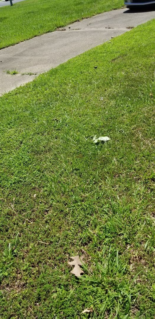 Building Photo - Single Family Home in Great Bridge