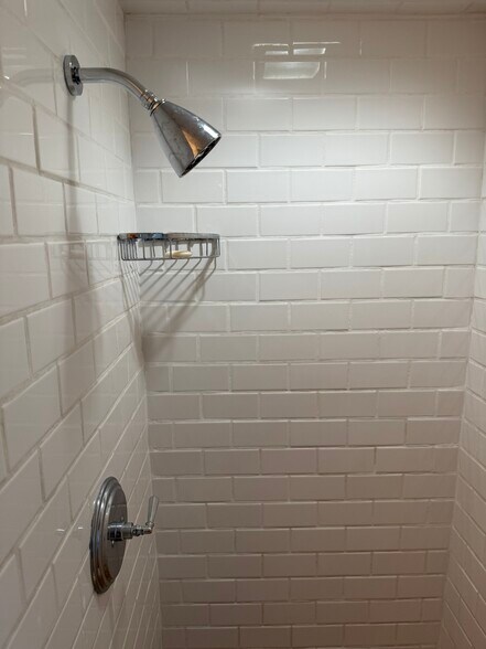 shower - 1741 Coldwater Canyon Dr