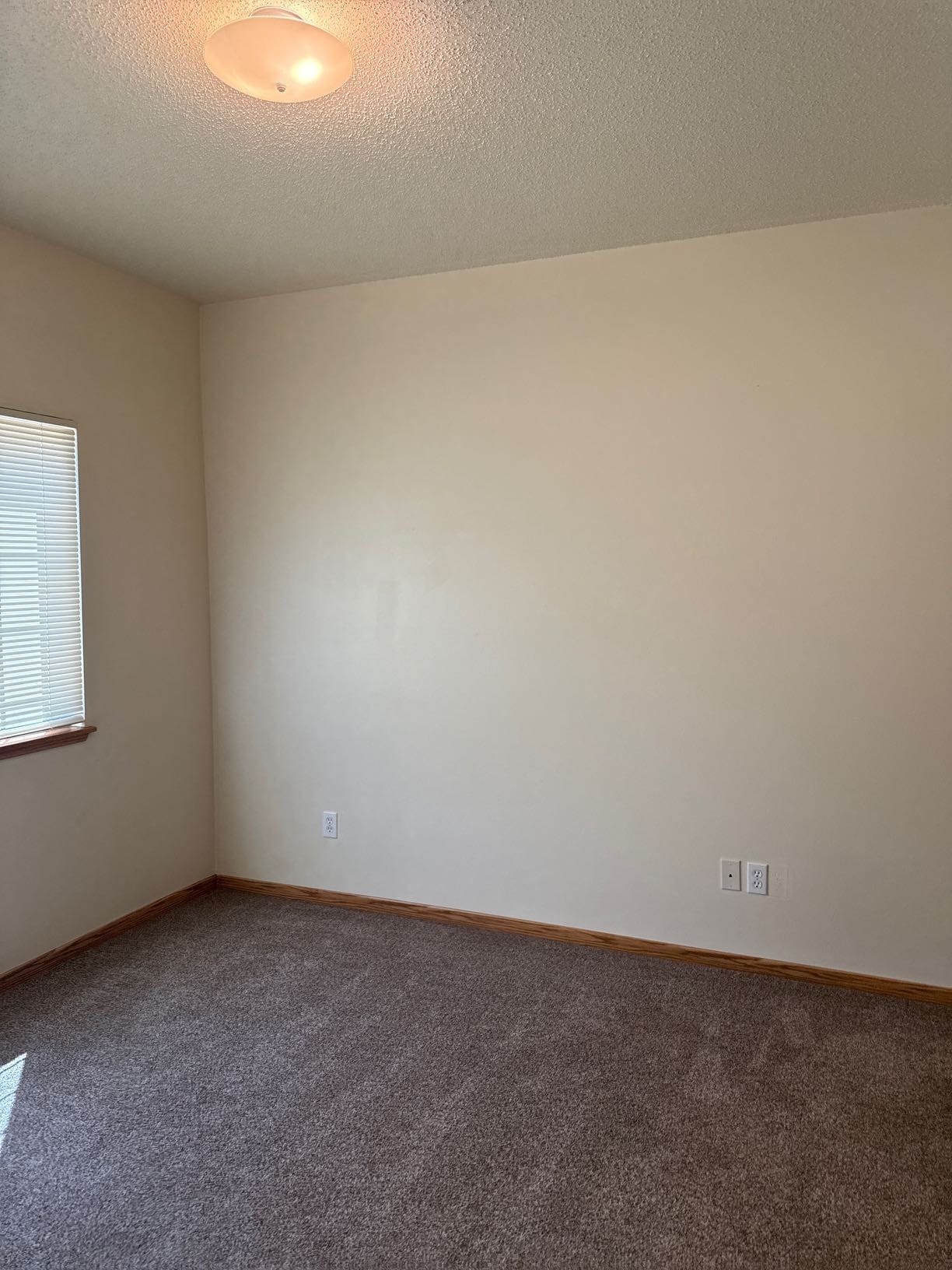 Building Photo - 210 10th St W