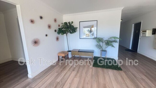 Building Photo - 351 Lester Ave