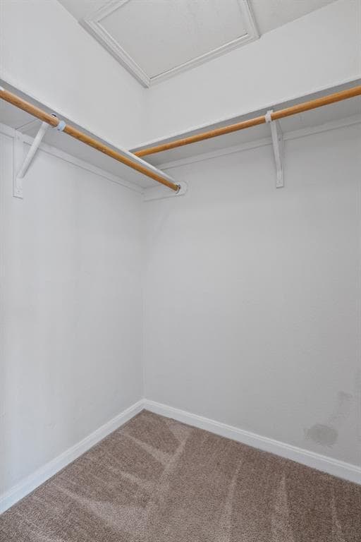 Building Photo - 3301 El Salido Pkwy