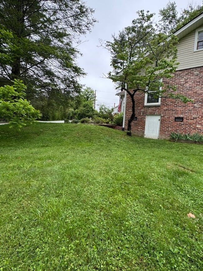 Building Photo - Beautiful 3 Bed / 1 Bath, Large rolling yard