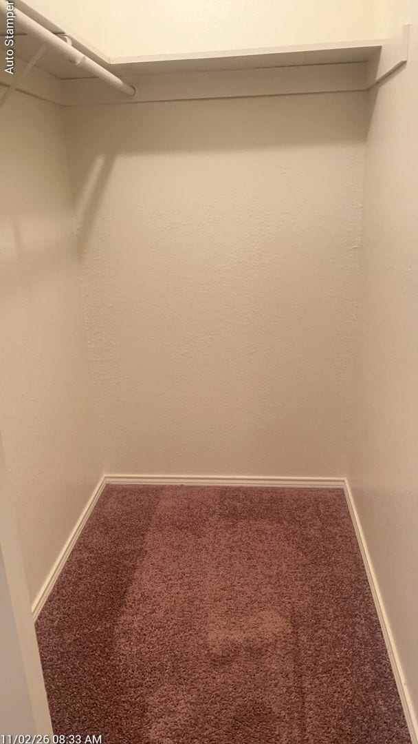 Building Photo - 3805 Braden Ln