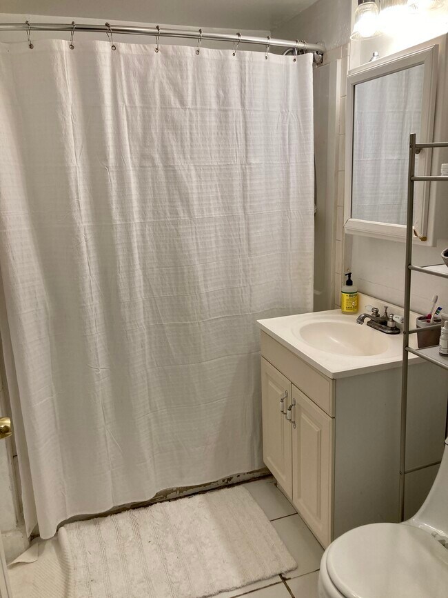 Building Photo - 55 Egmont St