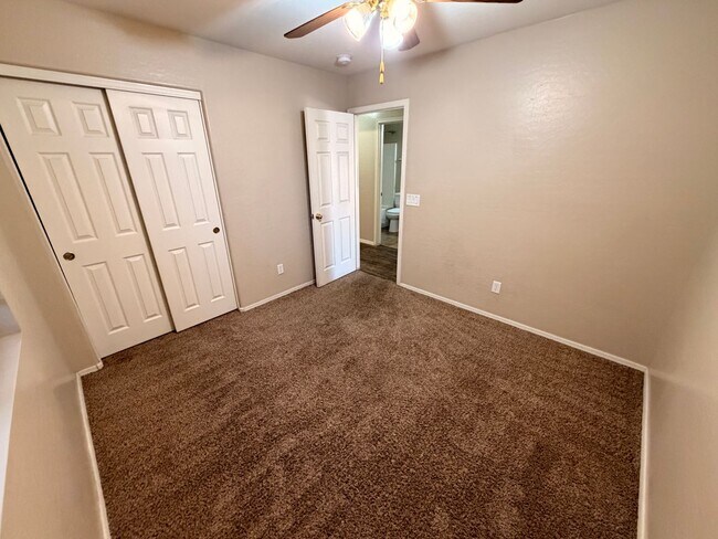 Building Photo - 3/2 Single story Avondale Home *Custom Paint* & Carpet in Beds Only!