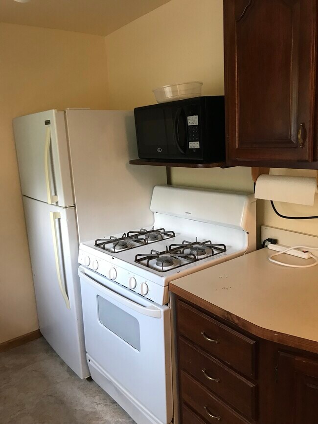 Kitchen-south view - 3645 Indian Lake Rd