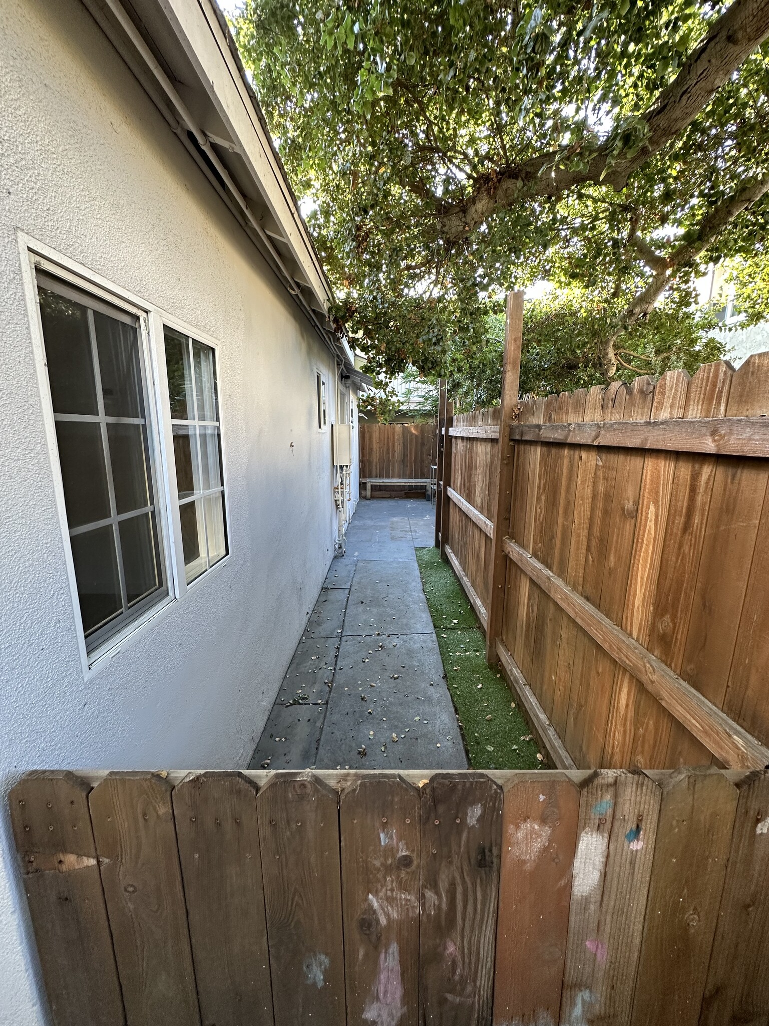 Fenced yard - 553 Avenue A