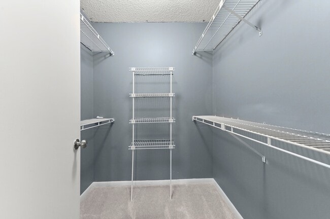 Building Photo - 8495 Lakepoint Ct