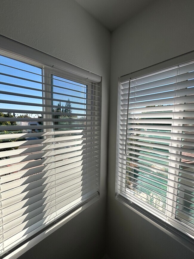 dining room window views - 1425 Hauser Blvd