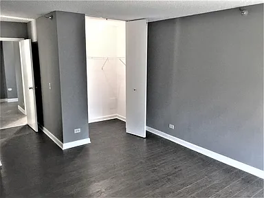 Building Photo - 1 bedroom in Chicago IL 60601