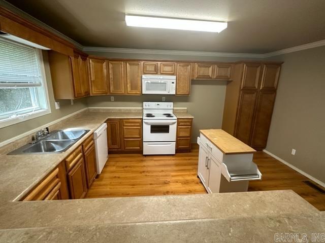 Building Photo - 586 Wisteria Dr