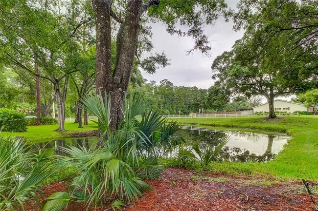 Building Photo - 3147 Brooker Creek Way