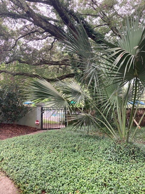 359A Spoonbill Ln Mt Pleasant, SC 29464- 2 Bedroom 2.5 Bath End Unit Town Home for Rent - 359 Spoonbill Ln