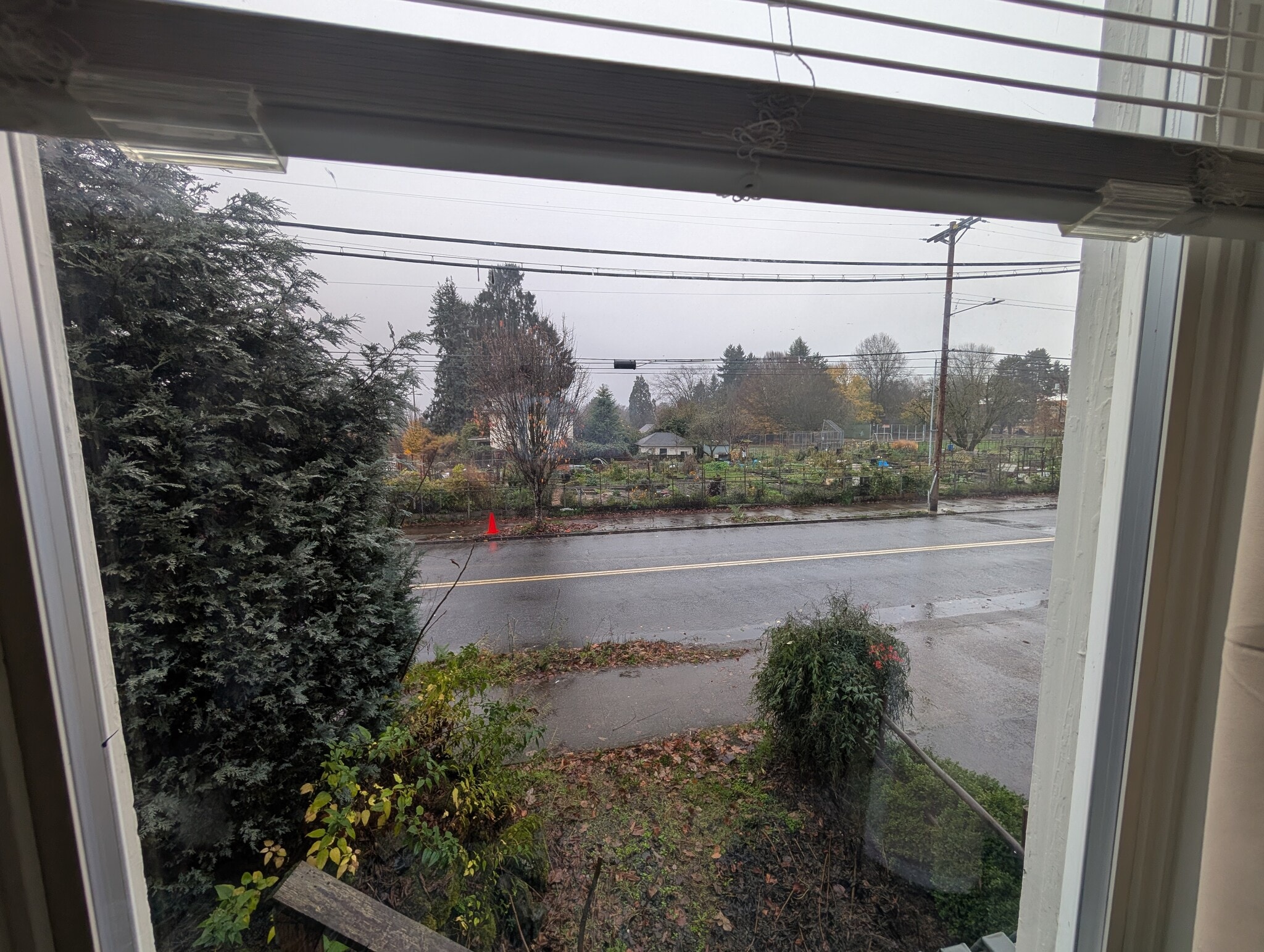 view from bedroom 2 - 2005 SE Taylor St