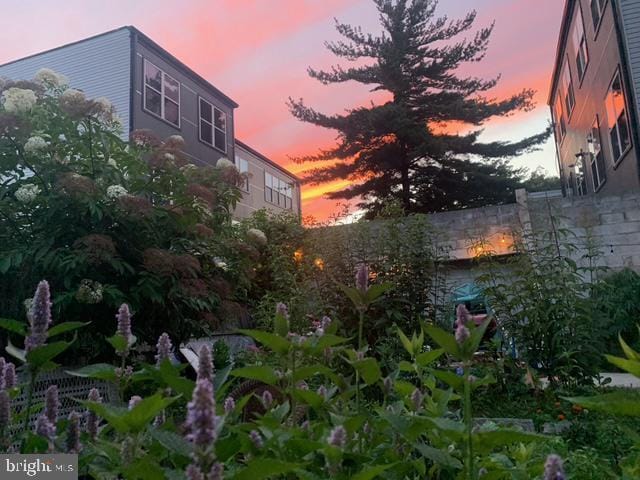 Building Photo - 2038 E Dauphin St