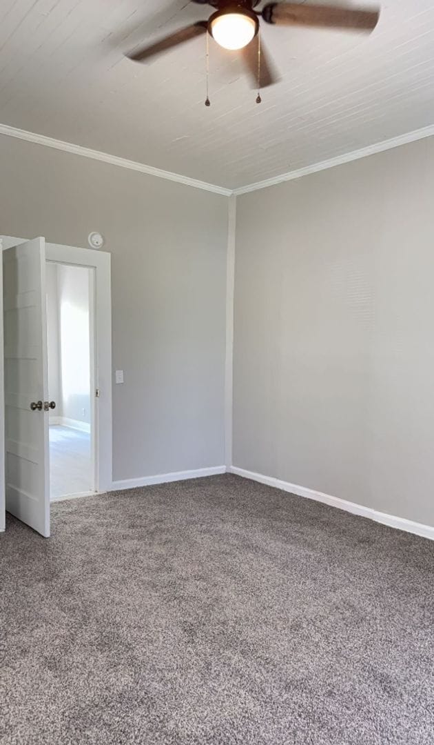 Building Photo - 3 Bed/1 Bath House