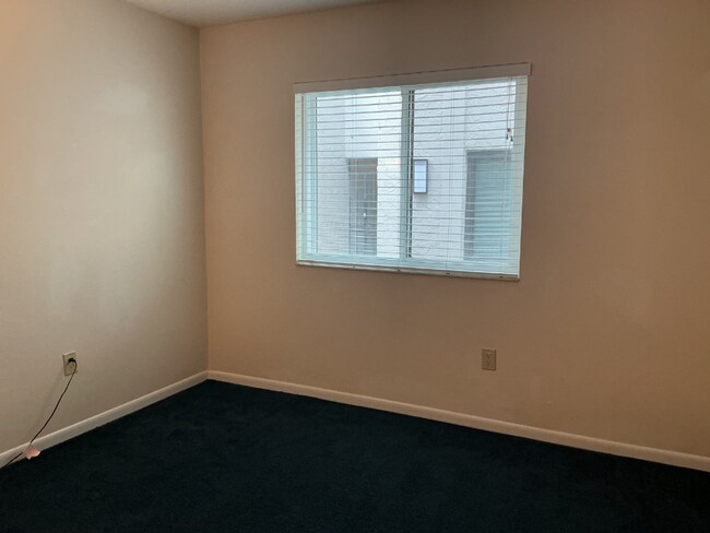 Building Photo - Lakeview Condo Coming Soon | Directly Across from Lake Hollingsworth
