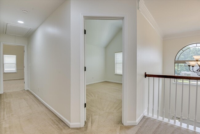Building Photo - 873 Rollo Domino Cir