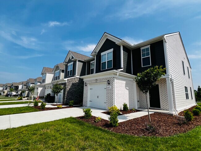 Building Photo - 2451 Salem Creek Ct