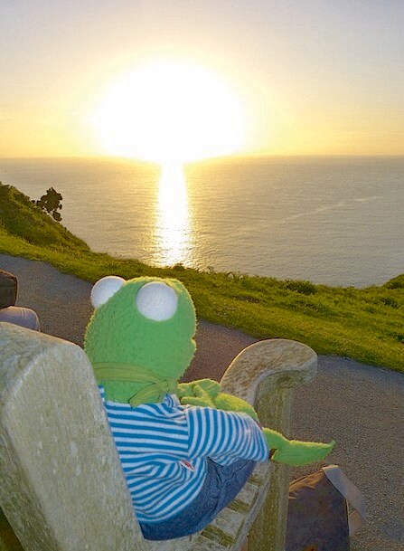 Building Photo - 1745 E Glenn St