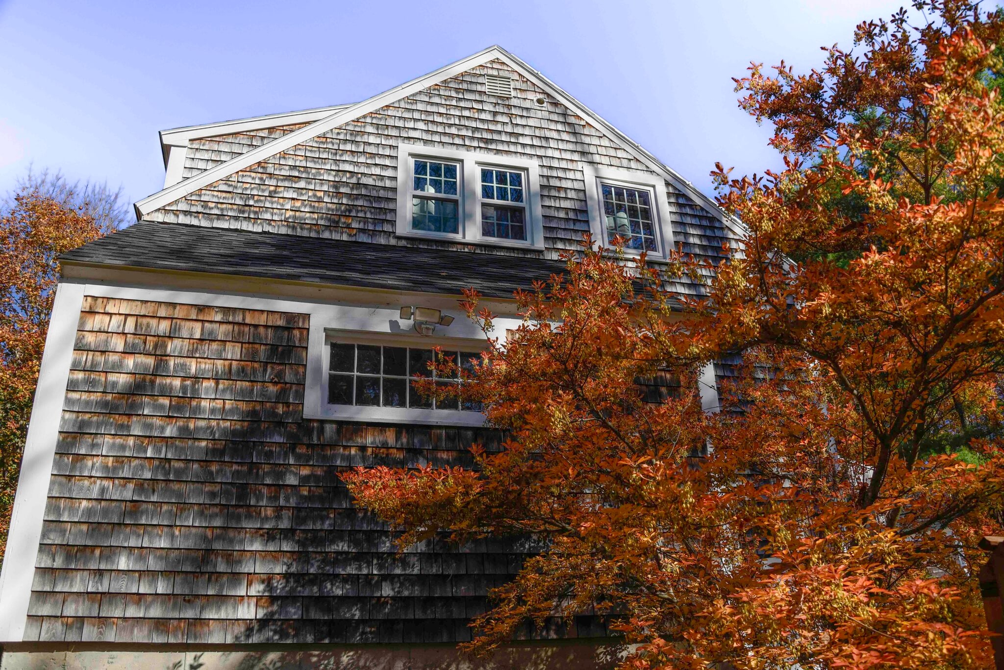 Building Photo - 103 Jennie Ln